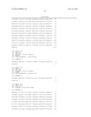 PLASMIDS AND PHAGES FOR HOMOLOGOUS RECOMBINATION AND METHODS OF USE diagram and image