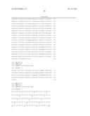 PLASMIDS AND PHAGES FOR HOMOLOGOUS RECOMBINATION AND METHODS OF USE diagram and image