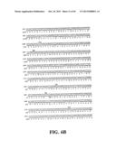 PLASMIDS AND PHAGES FOR HOMOLOGOUS RECOMBINATION AND METHODS OF USE diagram and image