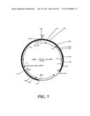 PLASMIDS AND PHAGES FOR HOMOLOGOUS RECOMBINATION AND METHODS OF USE diagram and image