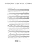 PLASMIDS AND PHAGES FOR HOMOLOGOUS RECOMBINATION AND METHODS OF USE diagram and image