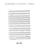 PLASMIDS AND PHAGES FOR HOMOLOGOUS RECOMBINATION AND METHODS OF USE diagram and image