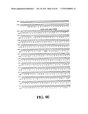 PLASMIDS AND PHAGES FOR HOMOLOGOUS RECOMBINATION AND METHODS OF USE diagram and image