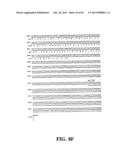 PLASMIDS AND PHAGES FOR HOMOLOGOUS RECOMBINATION AND METHODS OF USE diagram and image