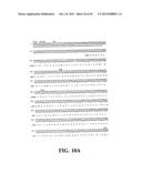 PLASMIDS AND PHAGES FOR HOMOLOGOUS RECOMBINATION AND METHODS OF USE diagram and image