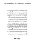 PLASMIDS AND PHAGES FOR HOMOLOGOUS RECOMBINATION AND METHODS OF USE diagram and image