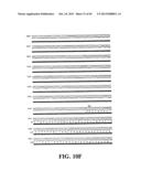 PLASMIDS AND PHAGES FOR HOMOLOGOUS RECOMBINATION AND METHODS OF USE diagram and image