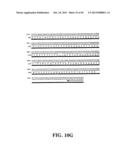 PLASMIDS AND PHAGES FOR HOMOLOGOUS RECOMBINATION AND METHODS OF USE diagram and image