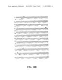 PLASMIDS AND PHAGES FOR HOMOLOGOUS RECOMBINATION AND METHODS OF USE diagram and image