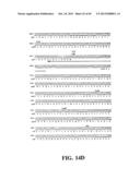 PLASMIDS AND PHAGES FOR HOMOLOGOUS RECOMBINATION AND METHODS OF USE diagram and image