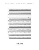 PLASMIDS AND PHAGES FOR HOMOLOGOUS RECOMBINATION AND METHODS OF USE diagram and image