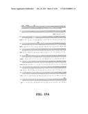 PLASMIDS AND PHAGES FOR HOMOLOGOUS RECOMBINATION AND METHODS OF USE diagram and image