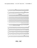 PLASMIDS AND PHAGES FOR HOMOLOGOUS RECOMBINATION AND METHODS OF USE diagram and image