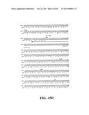 PLASMIDS AND PHAGES FOR HOMOLOGOUS RECOMBINATION AND METHODS OF USE diagram and image