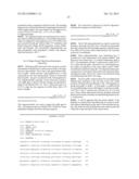 PLASMIDS AND PHAGES FOR HOMOLOGOUS RECOMBINATION AND METHODS OF USE diagram and image