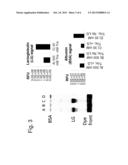 METHOD AND KIT FOR PROTEIN LABELING diagram and image