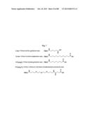 DPP-IV RESISTANT GIP HYBRID POLYPEPTIDES WITH SELECTABLE PROPERTIES diagram and image