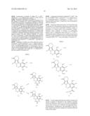 ISOINDOLONE DERIVATIVES diagram and image