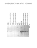 MODULATION OF RESPONSE REGULATORS BY IMIDAZOLE DERIVATIVES diagram and image