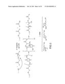 POLYLACTIDE-GRAFT-LIGNIN BLENDS AND COPOLYMERS diagram and image