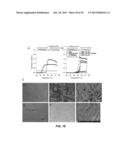 PHASE TRANSITION BIOPOLYMERS AND METHODS OF USE diagram and image