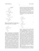 iRNA  AGENTS WITH BIOCLEAVABLE TETHERS diagram and image