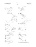 iRNA  AGENTS WITH BIOCLEAVABLE TETHERS diagram and image