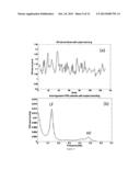 WEARABLE REMOTE ELECTROPHYSIOLOGICAL MONITORING SYSTEM diagram and image