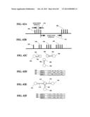 NEUROMODULATION DEVICES AND METHODS diagram and image