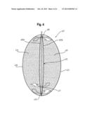 BAG HAVING FLOW EQUALIZATION diagram and image