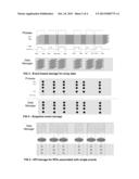 DATA MANAGER CENTRALIZED STORAGE FOR MULTIPLE SERVICE APPLICATIONS diagram and image