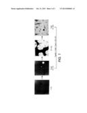 PHASE CHANGE INKS COMPRISING AROMATIC DIESTER CRYSTALLINE COMPOUNDS diagram and image