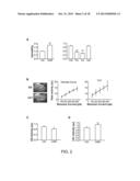 System, Method and Applications Involving Identification of Biological     Circuits Such as Neurological Characteristics diagram and image