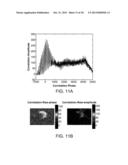 System, Method and Applications Involving Identification of Biological     Circuits Such as Neurological Characteristics diagram and image