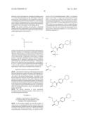 INSULATOR AND USE THEREOF diagram and image