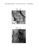 THERMOELECTRIC MATERIAL HAVING REDUCED THERMAL CONDUCTIVITY, AND     THERMOELECTRIC DEVICE AND MODULE INCLUDING THE SAME diagram and image