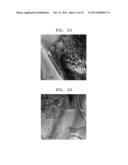 THERMOELECTRIC MATERIAL HAVING REDUCED THERMAL CONDUCTIVITY, AND     THERMOELECTRIC DEVICE AND MODULE INCLUDING THE SAME diagram and image