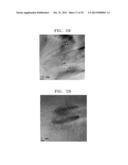 THERMOELECTRIC MATERIAL HAVING REDUCED THERMAL CONDUCTIVITY, AND     THERMOELECTRIC DEVICE AND MODULE INCLUDING THE SAME diagram and image