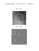 THERMOELECTRIC MATERIAL HAVING REDUCED THERMAL CONDUCTIVITY, AND     THERMOELECTRIC DEVICE AND MODULE INCLUDING THE SAME diagram and image