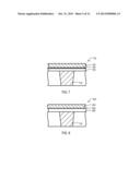 SOLID ELECTROLYTE MEMORY ELEMENTS WITH ELECTRODE INTERFACE FOR IMPROVED     PERFORMANCE diagram and image