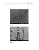 SILICON NANOCRYSTAL INKS, FILMS, AND METHODS diagram and image