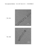 NANOWIRES, METHOD OF FABRICATION THE SAME AND USES THEREOF diagram and image