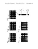 ORGANIC EL DISPLAY PANEL diagram and image