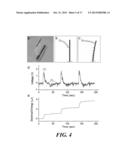 BACTERIAL SPORE BASED ENERGY SYSTEM diagram and image