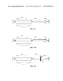 BACTERIAL SPORE BASED ENERGY SYSTEM diagram and image