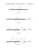 HIGH TEMPERATURE ELECTROMAGNETIC COIL ASSEMBLIES INCLUDING BRAZED BRAIDED     LEAD WIRES AND METHODS FOR THE FABRICATION THEREOF diagram and image