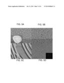 MULTISCALE LIGHT AMPLIFICATION STRUCTURES FOR SURFACE ENHANCED RAMAN     SPECTROSCOPY diagram and image