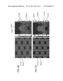 MULTISCALE LIGHT AMPLIFICATION STRUCTURES FOR SURFACE ENHANCED RAMAN     SPECTROSCOPY diagram and image