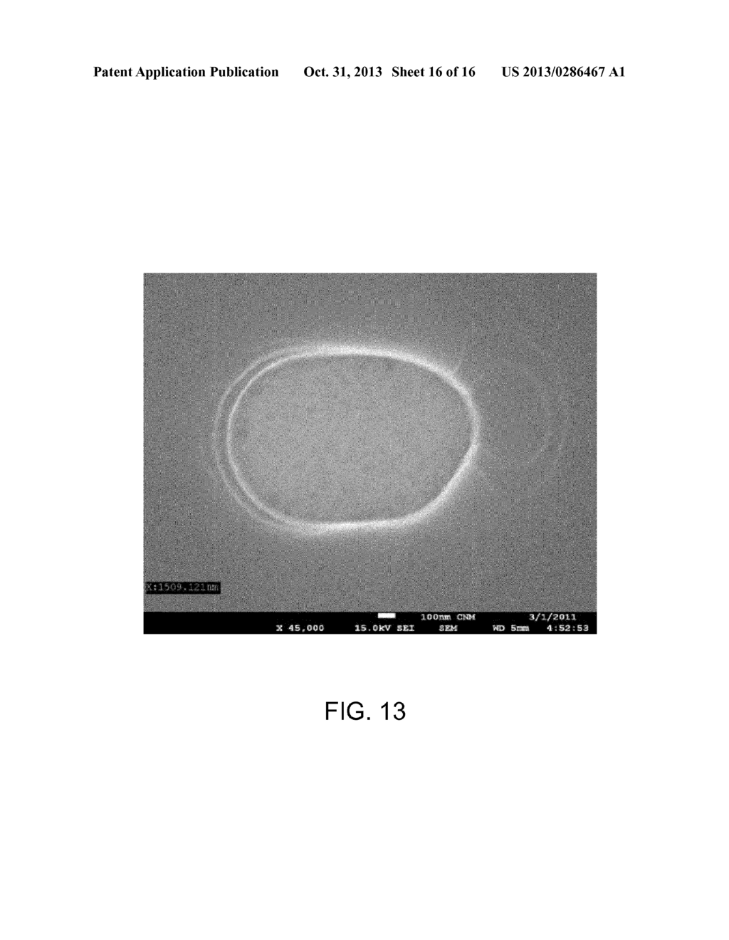 MULTISCALE LIGHT AMPLIFICATION STRUCTURES FOR SURFACE ENHANCED RAMAN     SPECTROSCOPY - diagram, schematic, and image 17