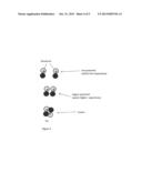 APPARATUS AND PROCESS FOR PENETRATION OF THE COULOMB BARRIER diagram and image